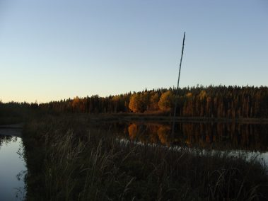 Fishing, Hunting, and Fun!