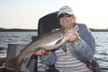 Lake Trout