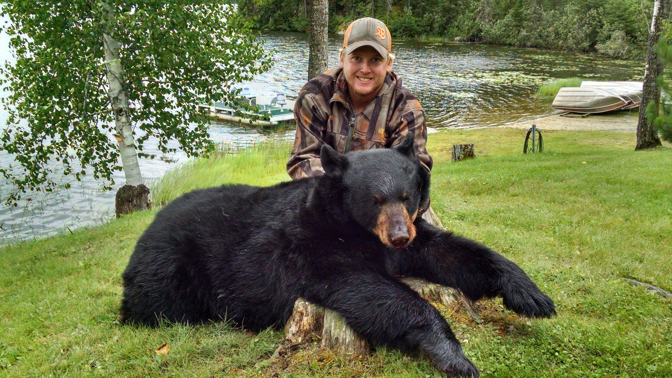 bear