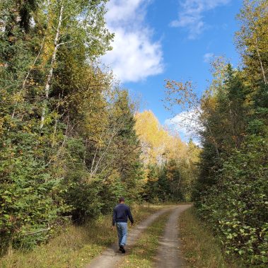 Road to remote lakes