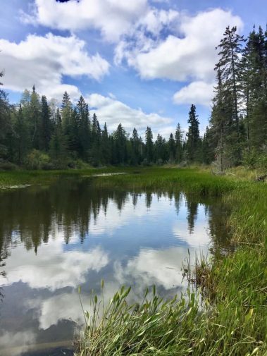 Creek leading to Gerrard
