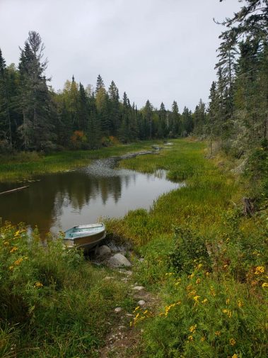 Creek leading to Caribou Lake