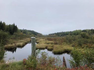 Fishing, Hunting, and Fun!