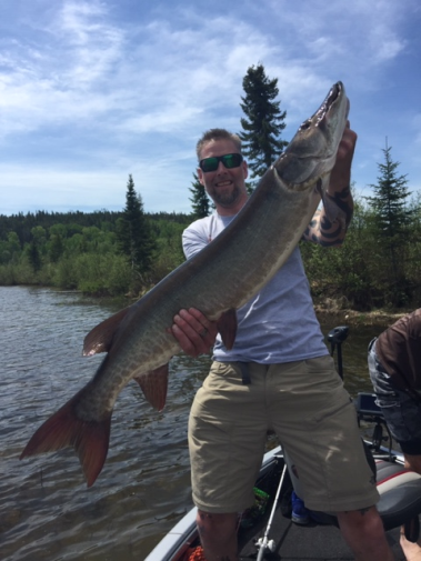 Musky 42"