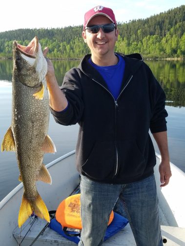 Lake Trout