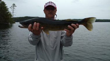 Walleye