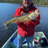 Yellow perch fishing packages — Gold Arrow Camp Ltd. – Gold Arrow Camp Ltd.