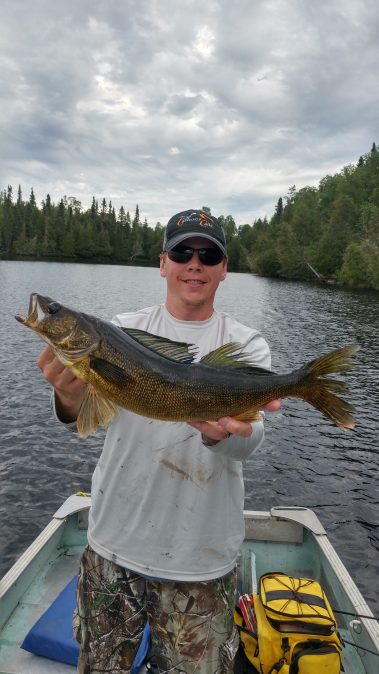 Walleye